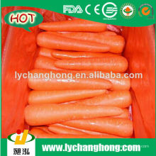 2014 Свежая морковь для горячей продажи